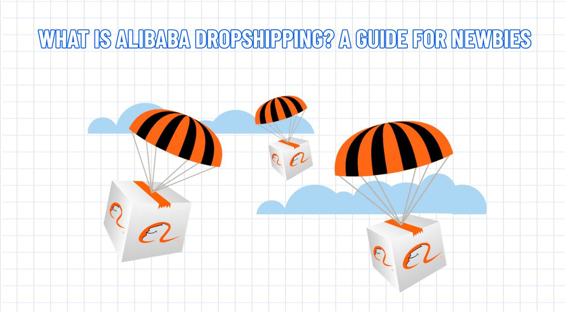 What is Alibaba Dropshipping? A Guide for Newbies 2025