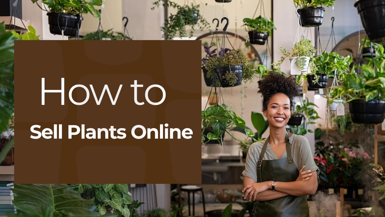 how to sell plants online