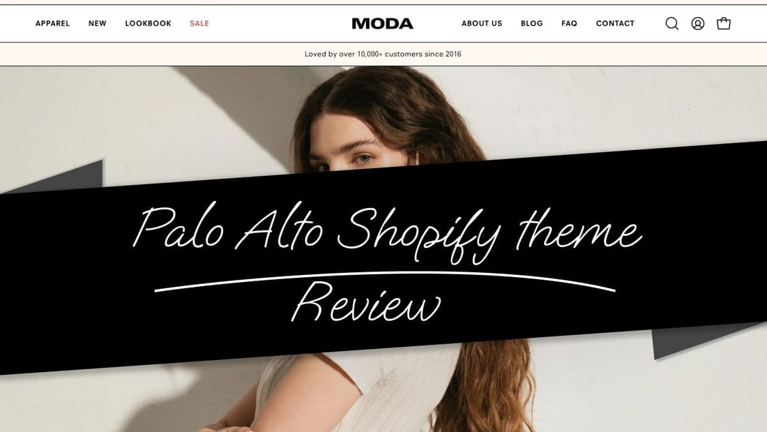 Palo Alto Shopify Theme: Review, Pros & Cons, Features, Examples