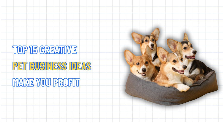 TOP 15 Creative Pet Business Ideas That Help You Generate Profit – NextSky