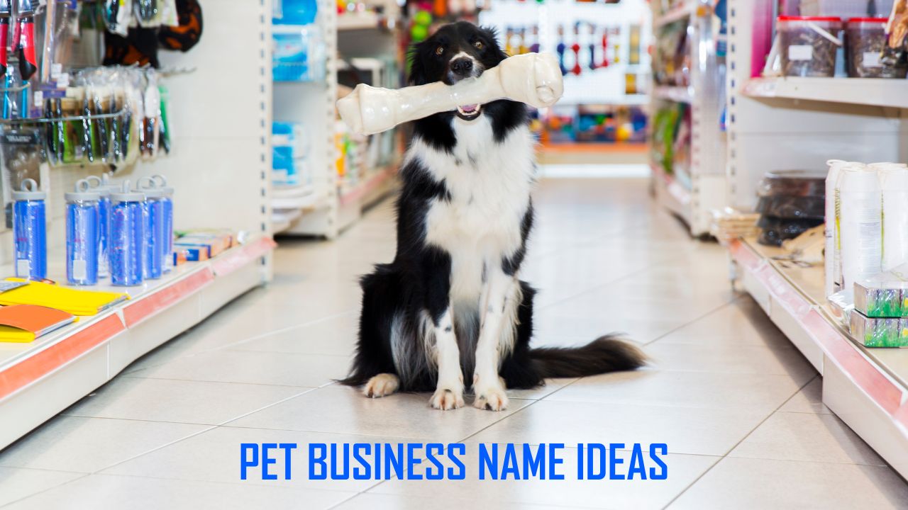 Pet Business Name Ideas