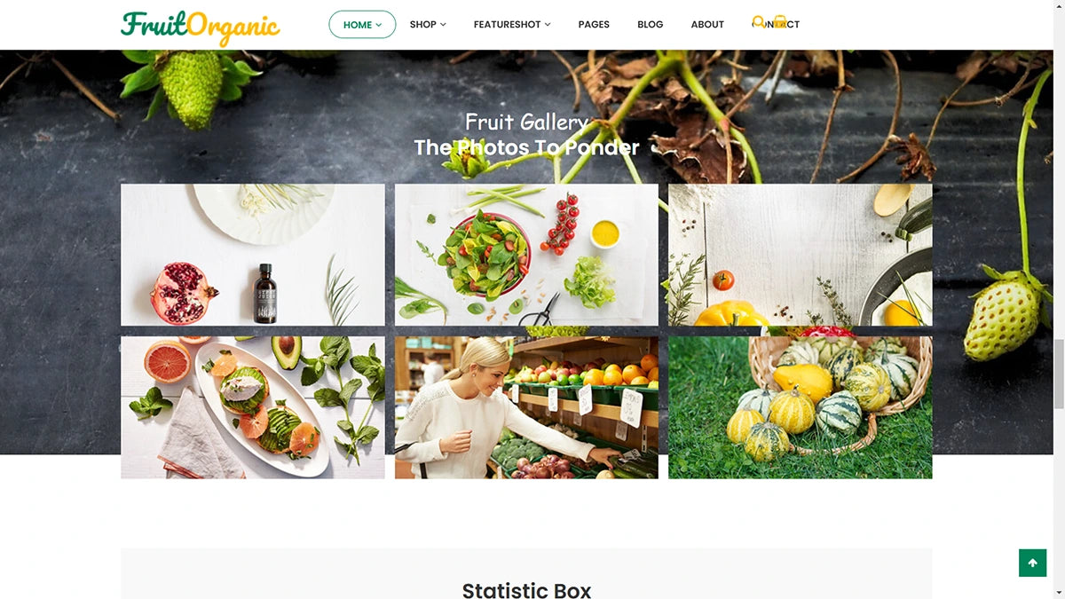 Fruit Shop Magento 2 Theme - Demo 9