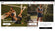 Glozin theme – Activewear - Img 1