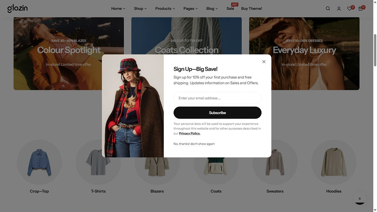Glozin theme – Chic Boutique - Img 2