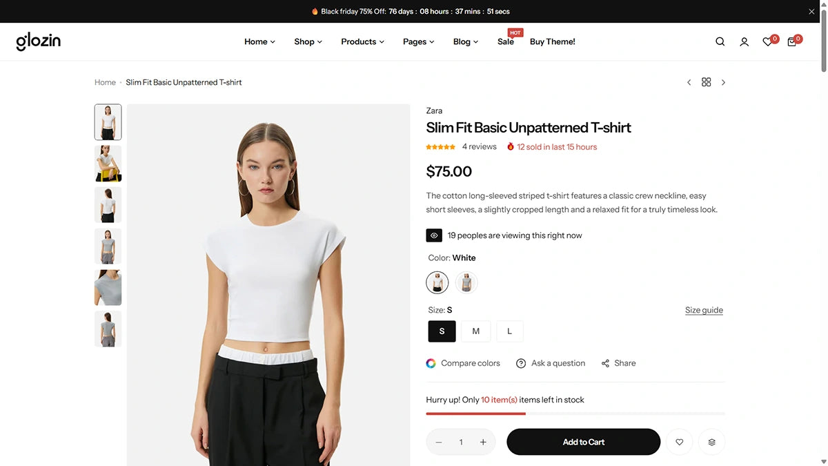 Glozin theme – Elegant Style - Img 6