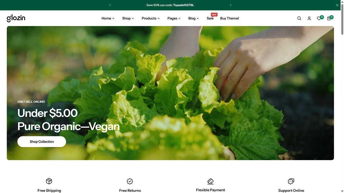 Glozin theme – Healthy Haven - Img 1