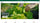 Glozin theme – Healthy Haven - Img 1