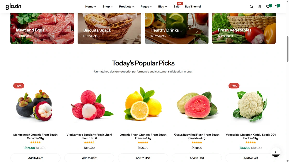 Glozin theme – Healthy Haven - Img 2