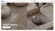 Glozin theme – Urban Living - Img 1