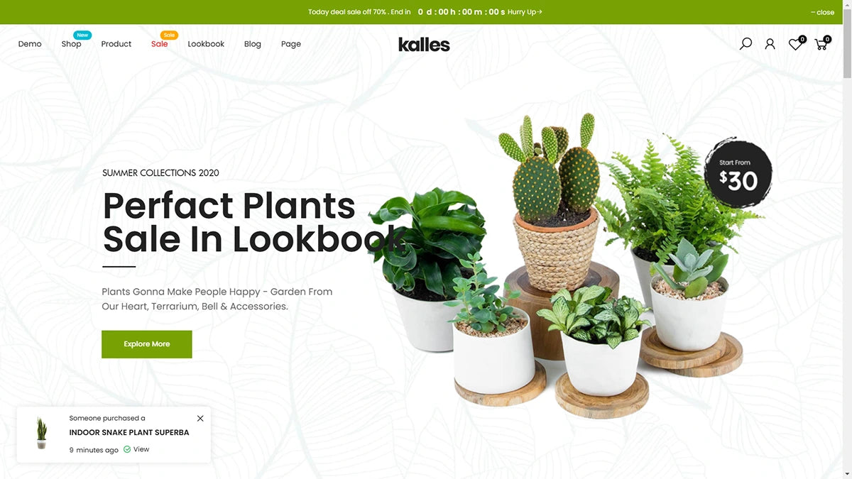 Kalles Magento 2 Theme - 7