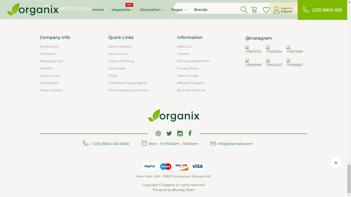 Organix Magento 2 Theme - Demo 7