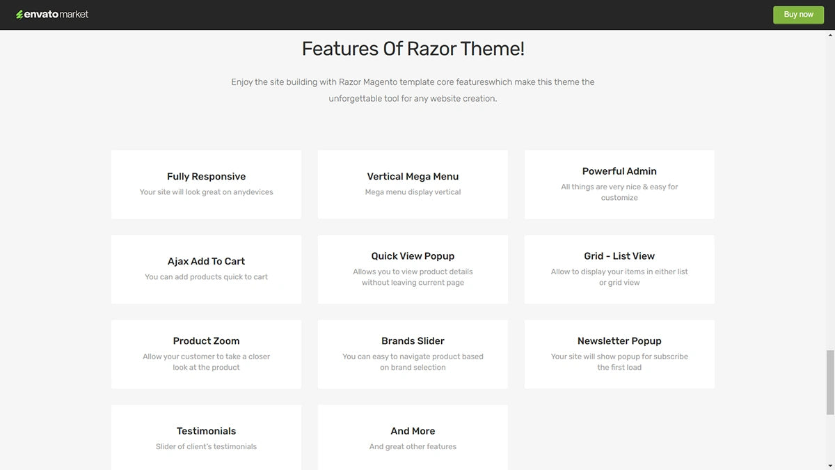 Razor Magento 2 theme - Demo 5