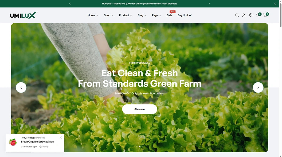 Umino Theme – Organic Foods - Img 1