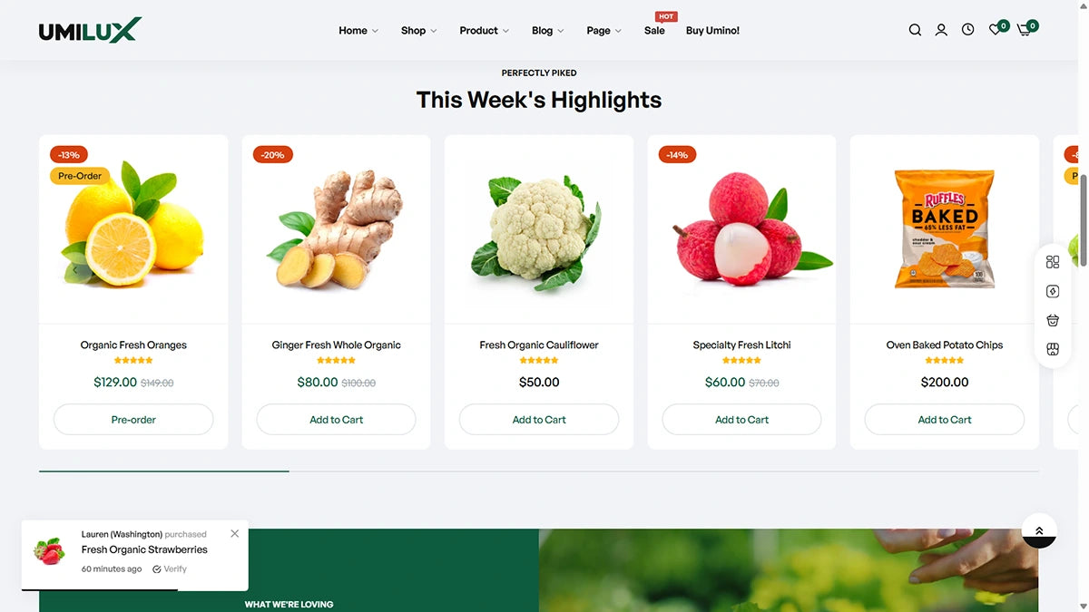 Umino Theme – Organic Foods - Img 3