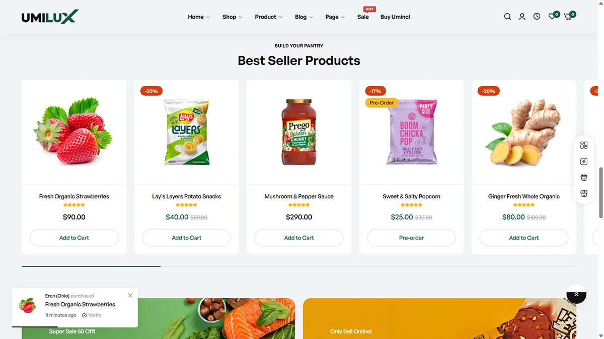 Umino Theme – Organic Foods - Img 4