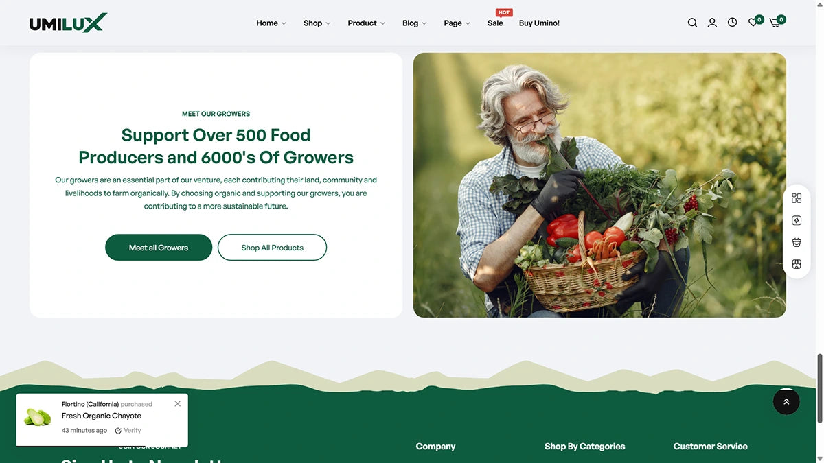 Umino Theme – Organic Foods - Img 7